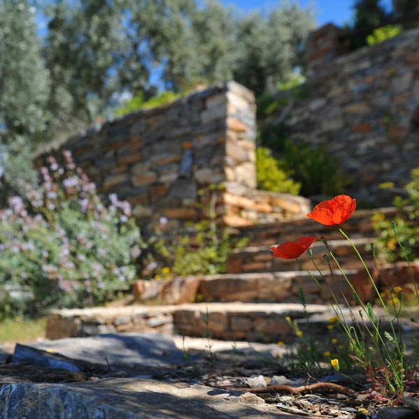Hero image showcasing landscaping products by GreyStone Landscape Products in Ogden, UT.