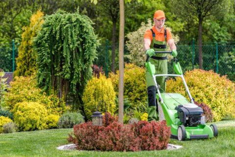 Caucasian Greenskeeper Trimming the Grass in His Client’s Backyard Garden with Electric Lawn Mower. Beautifully Landscaped Plants in the Background. Garden Care and Maintenance Theme.