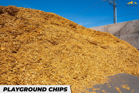 Playground chip