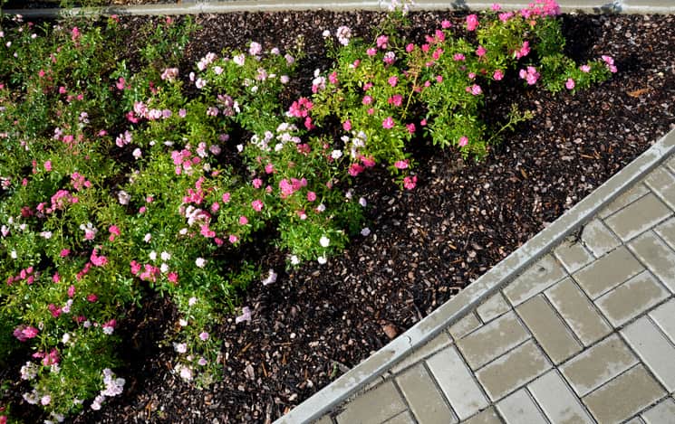 Fresh topsoil and blooming flowers revitalizing a landscaped garden bed in Ogden, UT